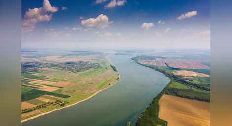Изчезнали и завърнали се видове в река Дунав