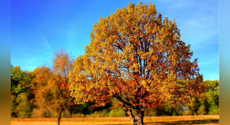 Есента наближава, но топлото време остава поне до 10 септември