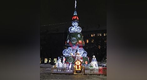 Коледната елха пред Общината грейва в светлини тази вечер