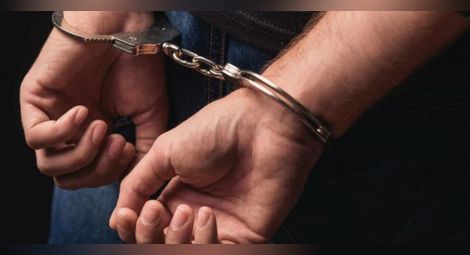 Бос на банда за кражби в Австрия ще чака екстрадиране в ареста