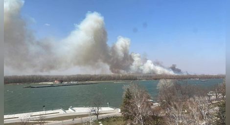 Пожар от запалено стърнище в Гюргево притесни русенци