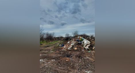 Близо 700 тона отпадъци е почистила община Русе от началото на годината