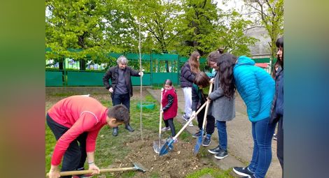 Ученици и „Дунавско сияние“  садят дръвчета за Деня на земята