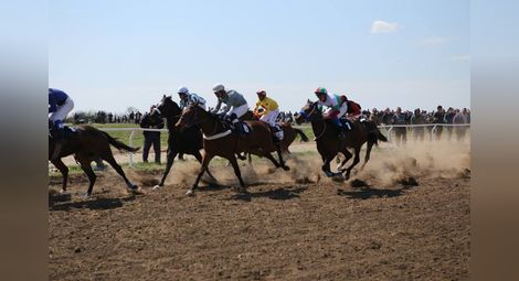 Сандрово кани на голям турнир любителите на конния спорт