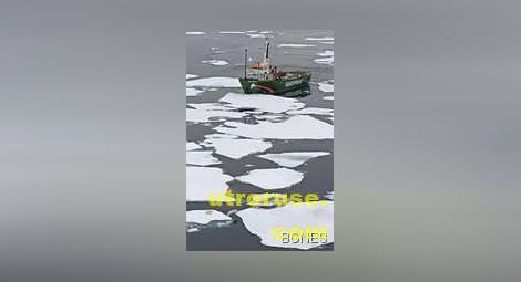 Грийнпийс атакува кораб на Роснефт в Баренцово море 
