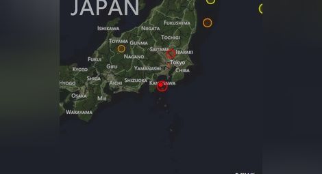 Най-малко 12 пострадали в Япония след силния трус /видео/