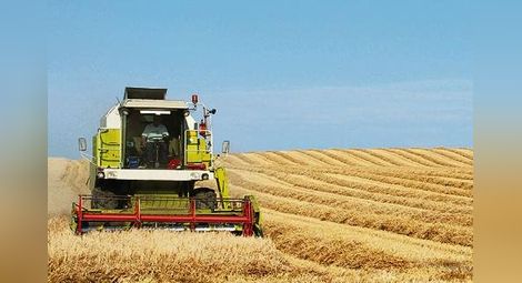 Прогнозират рекорден износ на пшеница от България