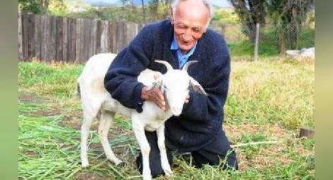 74-годишен бразилец ще се жени за коза