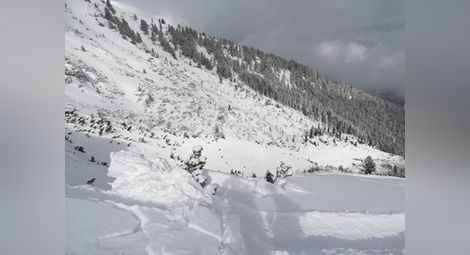 Снегът в Пампорово достига 2 метра, добри са условията за ски