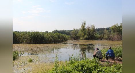От 24 май е разрешен спортният риболов в резервата „Сребърна”