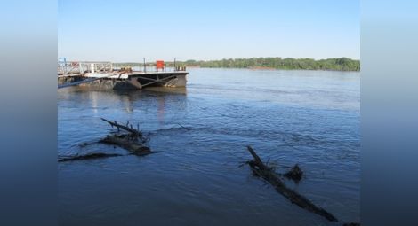 Дете потъна в Дунав, лодкар го спаси