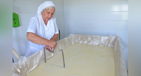 Мандра в Бъзън първа в областта прави сирене и кашкавал от собствено мляко