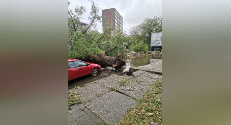 Супер клетка плюс ураганен вятър пометоха Русе и нанесоха невиждани щети
