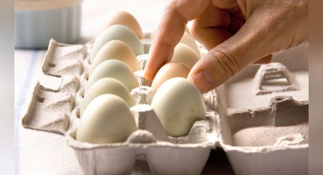 Едно яйце на ден снижава риска от инсулт