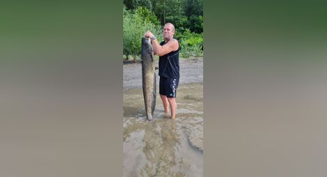 Русенски рибар извади трофеен 45-килограмов сом от Дунав
