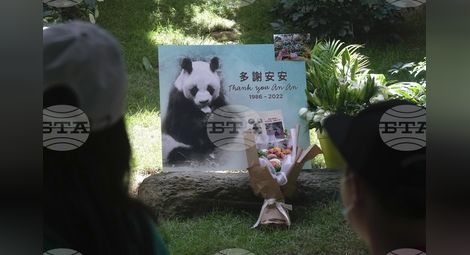 Снимка: БТА