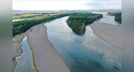 Пресъхналият Дунав намалява популациите  на ценни риби и водолюбиви птиц