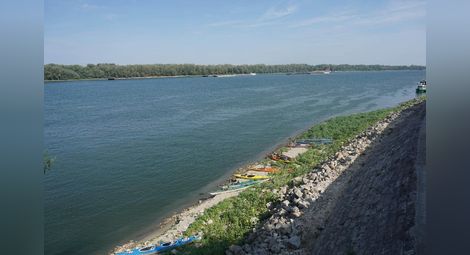 „Кауфланд“ и „Лидл“ почистват дунавския бряг край Мартен и Сандрово