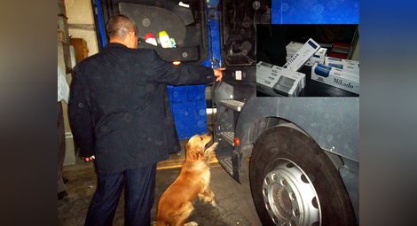 Четириногият митничар Ран надуши контрабанда на 620 кутии цигари