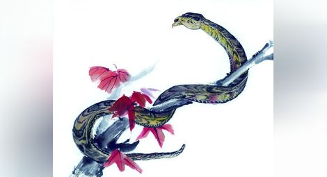 Ден на лакомата змия открива шестия фестивал на китайската култура в Русе
