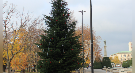 Коледната елха ще засияе в сряда, Русе посреща Нова година на площада с Поли Генова и „Сода Акустик“