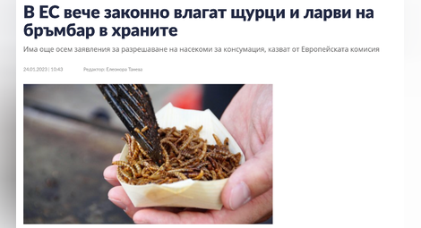 Истина ли е това: Ще ядат ли хора насекоми, без да го знаят, с разрешение на ЕС?