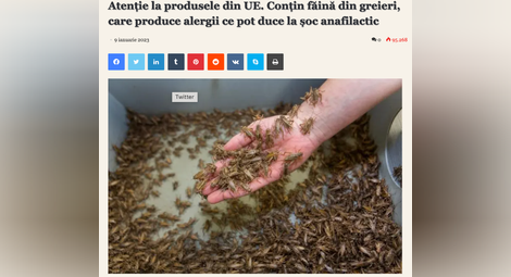 Истина ли е това: Ще ядат ли хора насекоми, без да го знаят, с разрешение на ЕС?