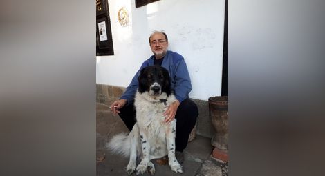 Прословутата любов на Цвети Русинов към кучетата го „сватосва“ със сегашния кмет Пенчо Милков, който осиновил женска каракачанка, майка на потомството на поредния Мечо на архитекта.