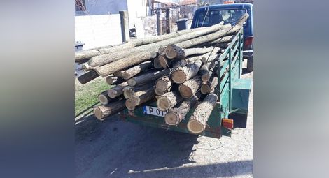 Незаконен дървен материал е открит на две места в Сливо поле. Снимки: ОДМВР