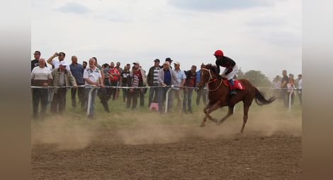 Шоу на хиподрума в Сандрово с елитни жокеи и коне от цяла България