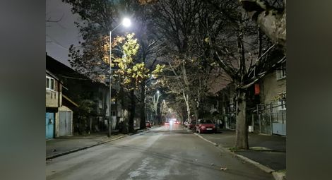 Есенна резитба на дървета затваря част от ул. „Сърнена гора“ в Русе на 21 септември