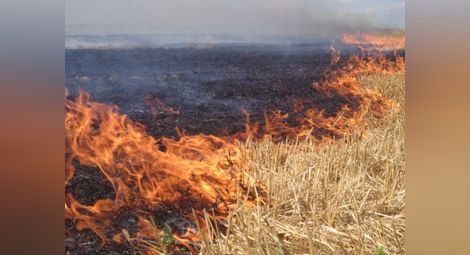 След 3 дни превишение на финия прах в Русе РИОСВ иска от Гюргево информация за горящите стърнища