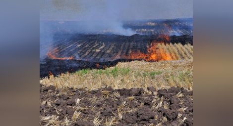 Запалените край Гюргево стърнища повишиха финия прах във въздуха в Русе