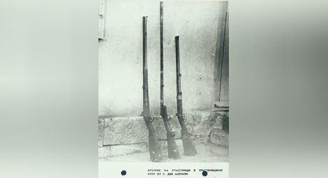 Оръжие на участници в Тръстенишкия бунт от Две могили.