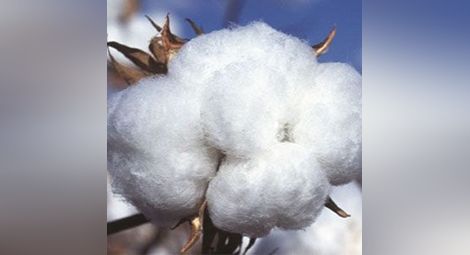 Колко важни са чорапите за цялата визия