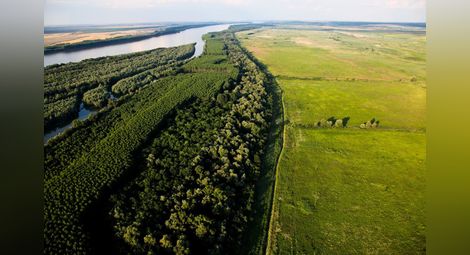 WWF България: Проектът за подобряване корабоплаването по Дунав търси финансиране без оценка на въздействие върху околната среда