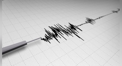 Земетресение с магнитуд 4,1 в района Вранча удари Румъния