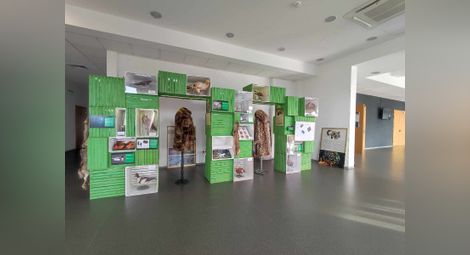 Изложба на русенския музей гостува на Софийския фестивал на науката