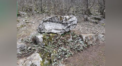 Лобното място на Христо Ботев не е връх Околчица, където се намира величественият паметник, а на около 1300 метра по права линия - в гората над седловината Йолковица, в подножието на връх Камарата.                       Снимка: Уикипедия