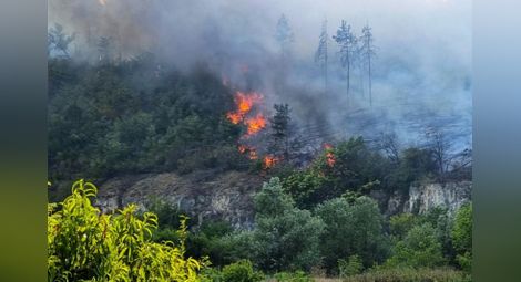 Горещините доведоха до 25% скок на пожарите от началото на юни