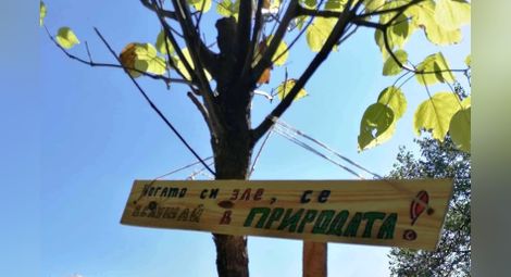 „Дунавско сияние“ кани малки русенски художници на пленер „Арт скаути