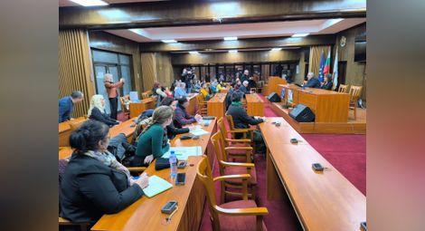 Заседанието на комисията на 20 януари не даде никакъв резултат. Очакванията са, че сега ще се говори за конкретни мерки за чистотата на въздуха в Русе.