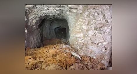 Гробница на над 4000 години откриха в Египет (видео)