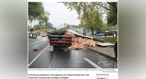 Свинщина: Български камион изсипа 400 умрели прасета в Германия