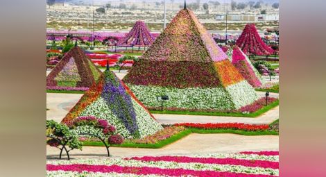 Градината на чудесата е в Дубай 