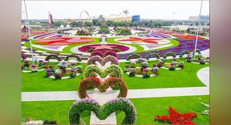 Градината на чудесата е в Дубай 