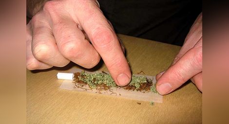 Вреди и ползи от легализацията на марихуаната в САЩ