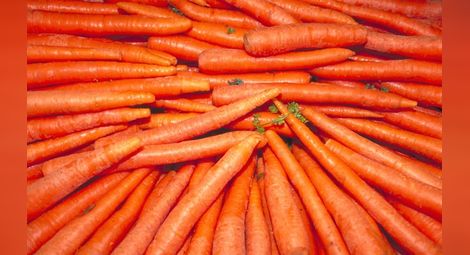 Морковите крият ключа към побеждаването на рака