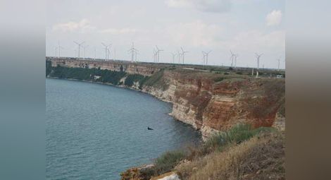 Зам.екологичният министър Георгиев: Не е трябвало да се разрешава ветроенергиен парк в Калиакра