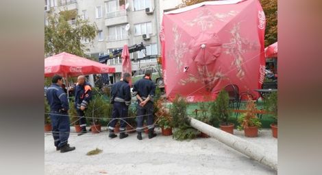 Паяк събори стълб върху кафене във Варна